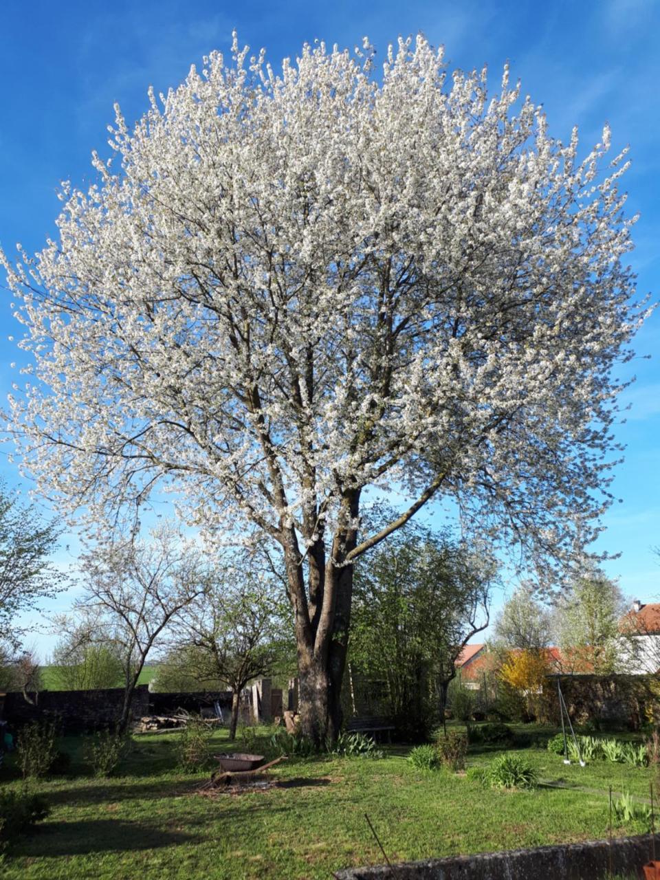 לינה וארוחת בוקר Rezonville Les Jardins De La Grange מראה חיצוני תמונה